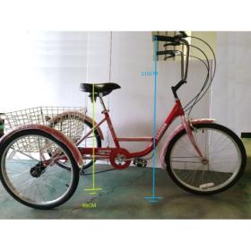 TRICYCLE-DIAMENSIONS-2-500x500