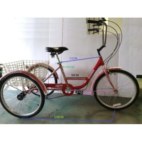 TRICYCLE-DIAMENSIONS-1-500x500